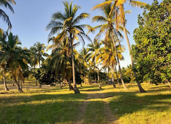 mozambique/inhambane-province/restaurant/crestiano