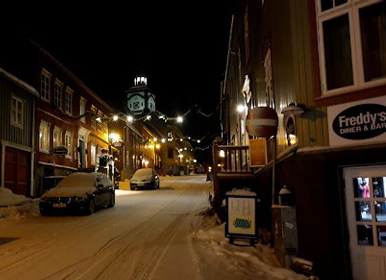 norway/roros/restaurant/freddy-s-diner
