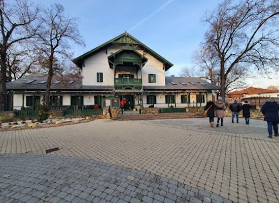 hungary/szabolcs-szatmar-bereg/restaurant/meatology-svajci-lak-nyiregyhaza