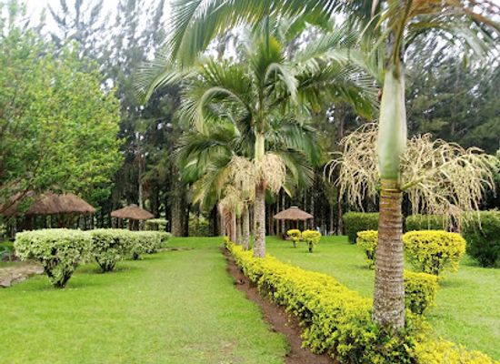 uganda/kibale-national-park/restaurant/woods-resort-karo-karungi