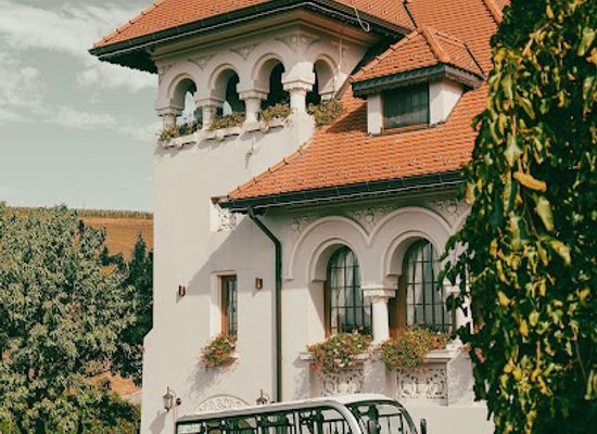 romania/prahova/restaurant/casa-timis-wellness-spa-resort