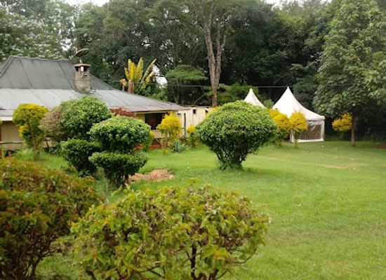 kenya/aberdare-range/restaurant/annabel-restaurant