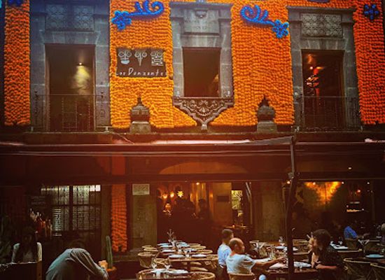mexico/mexico-city/coyoacan/restaurant/los-danzantes