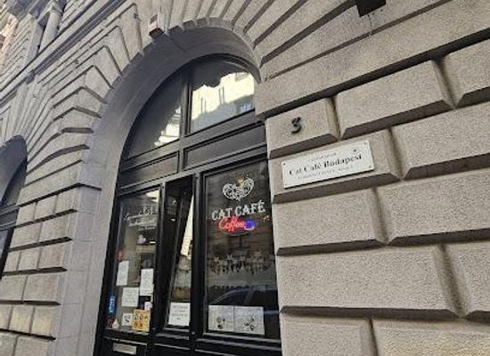 hungary/central-hungary/restaurant/cat-cafe