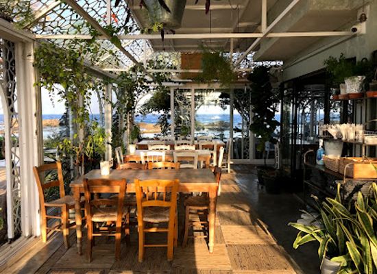 cyprus/famagusta-district/restaurant/the-palm-house