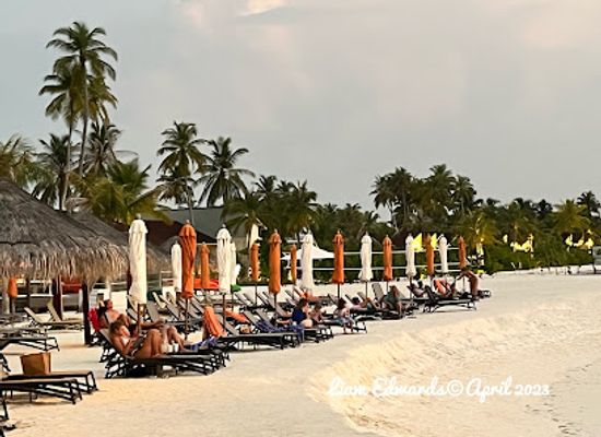 maldives/kaafu-atoll/restaurant/only-blu-under-ocean-restaurant