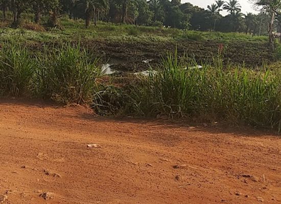 sierra-leone/tonkolili-district/restaurant/attitude-of-all