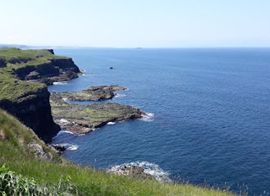 ireland/causeway-coastal-route/restaurant/the-nook