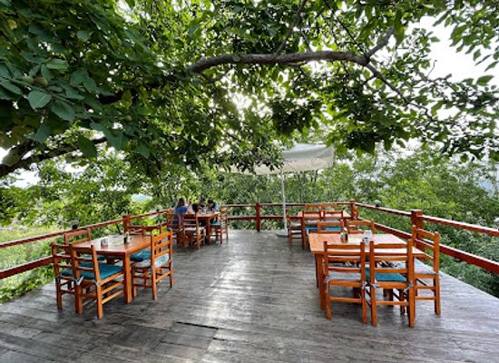 albania/kruja/restaurant/garden-organic-restaurant-mali-camping