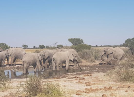 botswana/linyanti-wildlife-reserve/restaurant/khutse-game-reserve