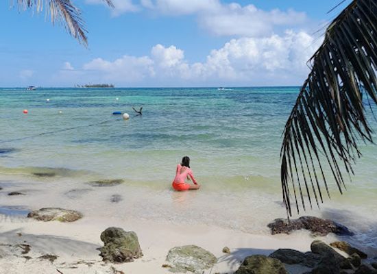 colombia/san-andres-island/restaurant/rocky-cay-restaurant-bar-beach