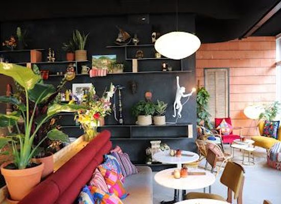 netherlands/the-hague/restaurant/hanno-groots-cafe