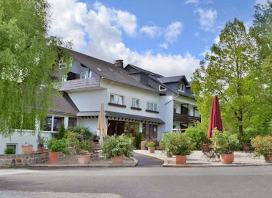 germany/hunsruck/restaurant/landidyll-hotel-restaurant-birkenhof