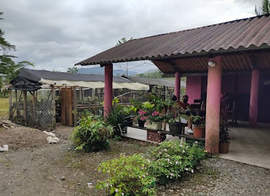 panama/ngabe-bugle-comarca/restaurant/cafe-el-viajero