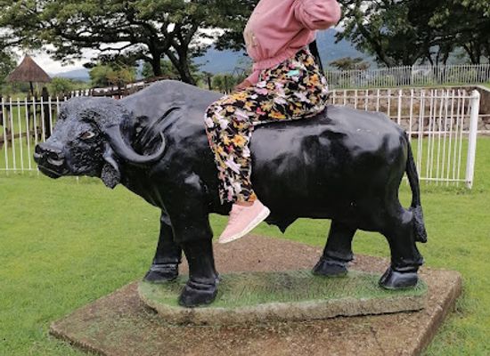zimbabwe/nyanga/restaurant/anglers-rest-hotel