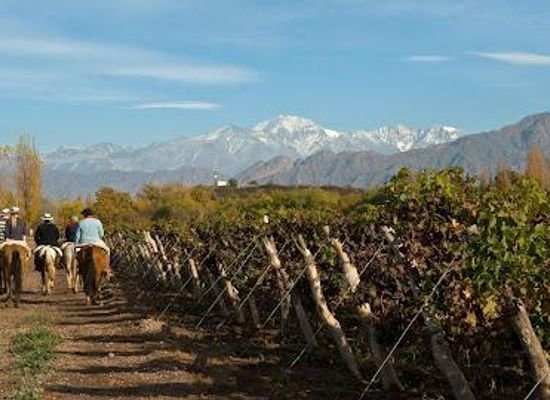 argentina/cuyo/restaurant/bodegas-nieto-senetiner