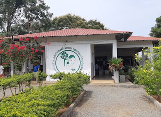 sri-lanka/northern-province/restaurant/taste-of-vanni-restaurant