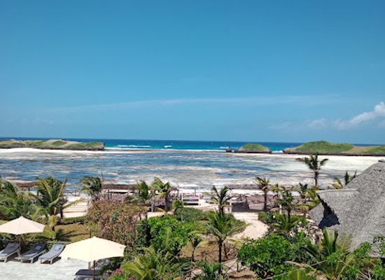 kenya/coastal-region/restaurant/amici-miei