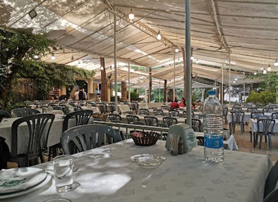 lebanon/chouf-district/restaurant/el-yammine-restaurant