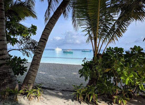 maldives/ari-atoll/restaurant/haruge