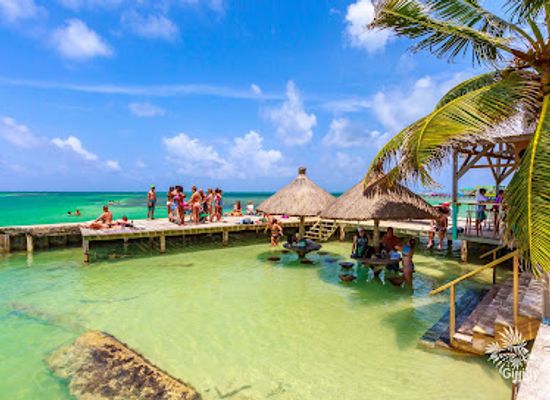 belize/the-cayes/restaurant/the-lazy-lizard