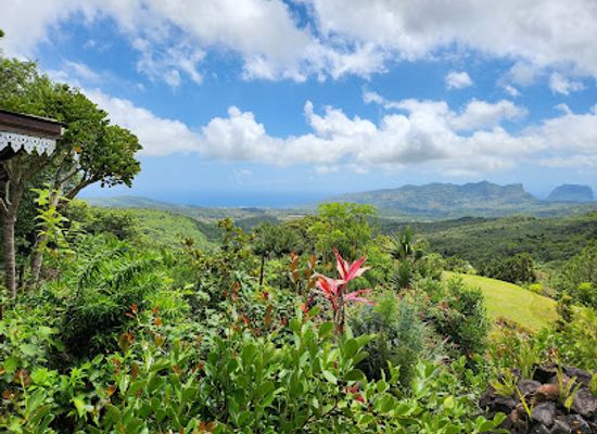 mauritius/black-river-gorges-national-park/restaurant/varangue-sur-morne