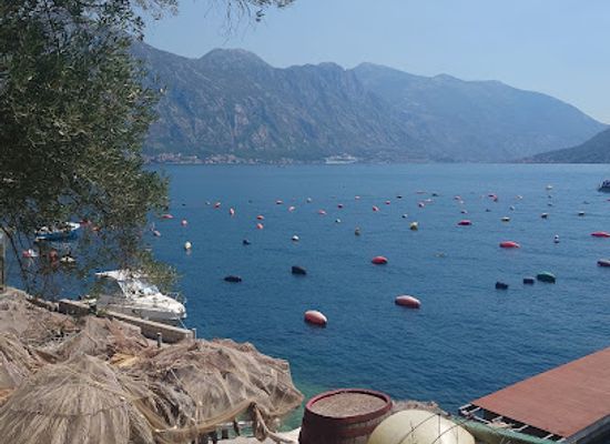 montenegro/lakes-of-plav/restaurant/oyster-farm-restaurant