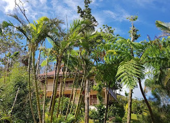 dominica/saint-luke/restaurant/zeb-zepis-bistro