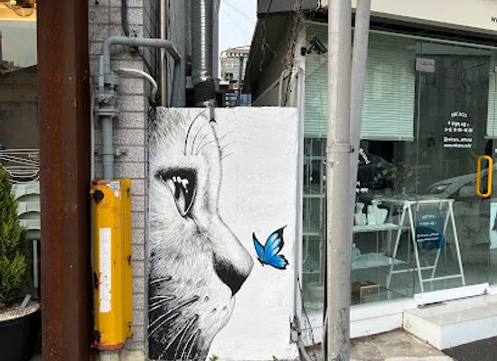 south-korea/daegu/restaurant/paseulli