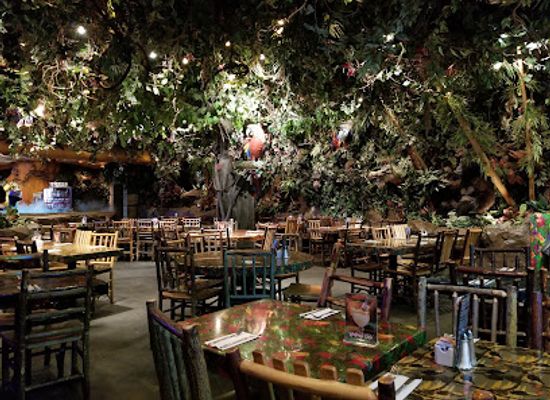 new-jersey/central-jersey/restaurant/rainforest-cafe