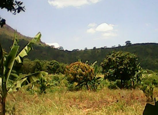 tanzania/morogoro/restaurant/dinning-hall