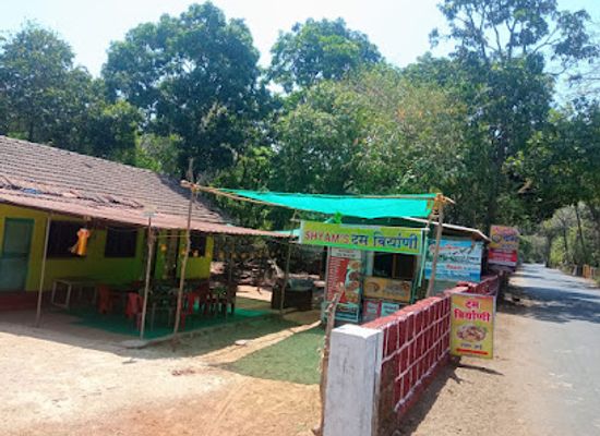 india/western-ghats/restaurant/shyam-s-dam-biryani