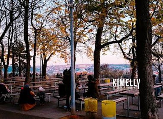 czechia/prague/restaurant/zahradni-restaurace-letensky-zamecek