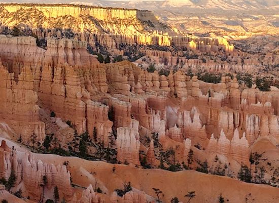 arizona/lake-powell/restaurant/blue-buddha-sushi-lounge