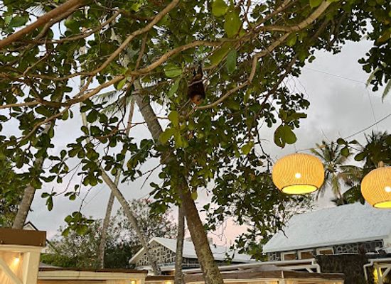mauritius/trou-aux-biches/restaurant/kotao-evaco-beach-club