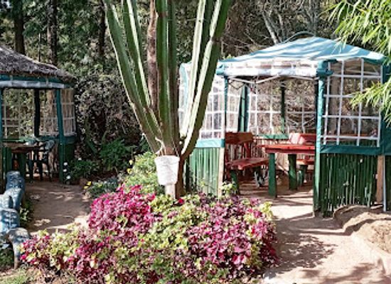 kenya/aberdare-range/restaurant/pazuri-garden-restaurant