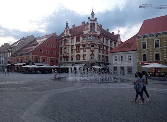 slovenia/maribor/drava/restaurant/restaurant-maribor