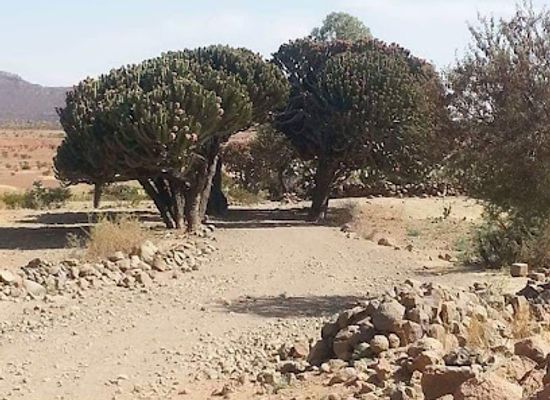 eritrea/gash-barka/restaurant/adi-fnin