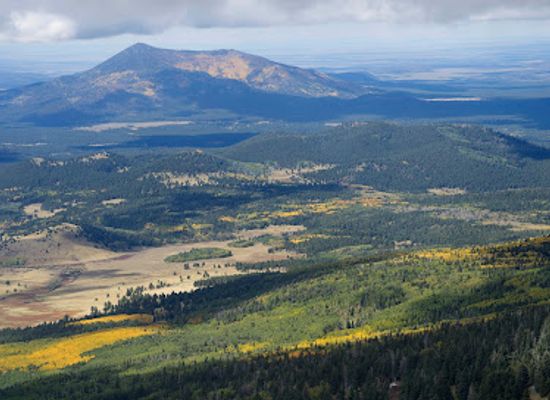 arizona/san-francisco-peaks/restaurant/arizona-snowbowl