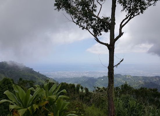 jamaica/blue-mountains/restaurant/the-gap-cafe