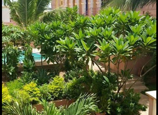 mali/segou-region/restaurant/hotel-vue-de-l-esplanade