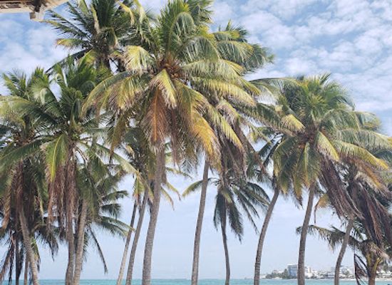 colombia/san-andres-island/restaurant/fisherman-place