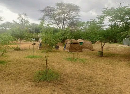 kenya/lake-baringo/restaurant/baringo-tours-boats-and-excursions