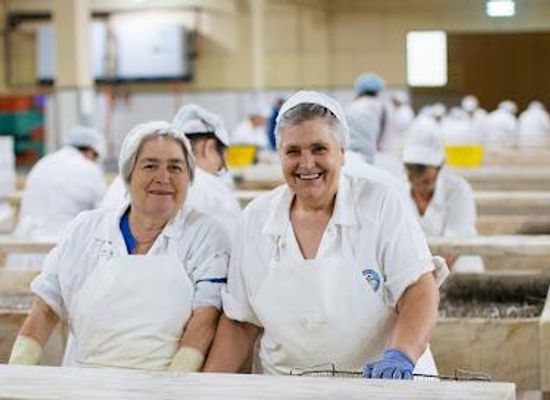 portugal/porto/restaurant/pinhais-cannery-co
