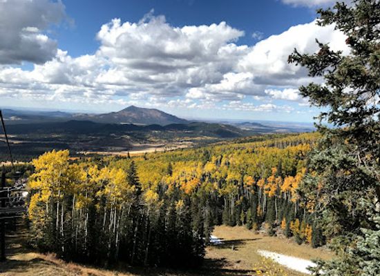 arizona/san-francisco-peaks/restaurant/agassiz-lodge-restaurant