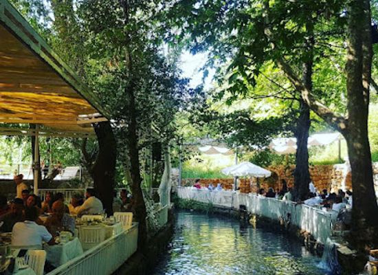 lebanon/al-shouf-cedar-nature/restaurant/al-midyaf-restaurant