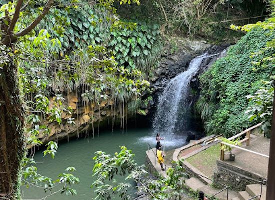 grenada/annandale-falls/restaurant/wild-orchid