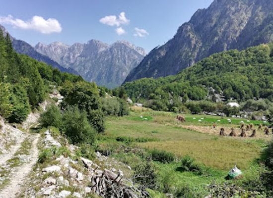 albania/dukagjin/restaurant/restaurant-tradita