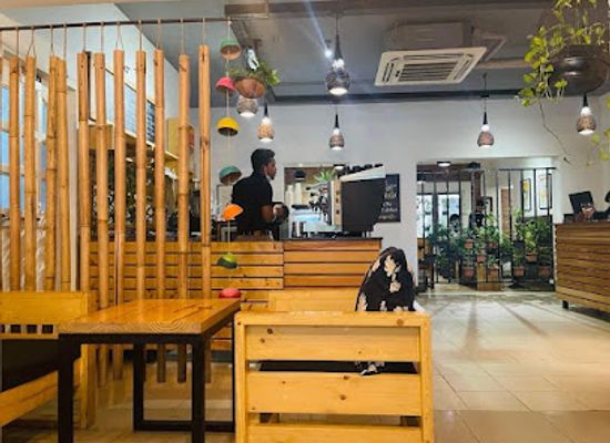 bangladesh/sundarbans/restaurant/pinewood-cafe-kitchen