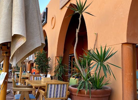 egypt/el-gouna/restaurant/the-bagel-tree